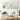 44167be542d2446d83cab282cc85e697-goods.jpeg